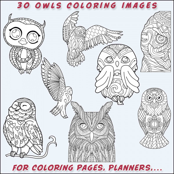 Owls Line Art