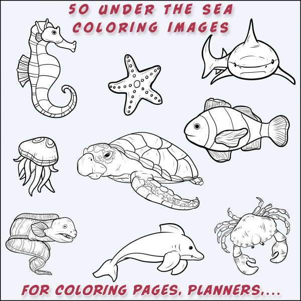 Under the Sea Line Arts
