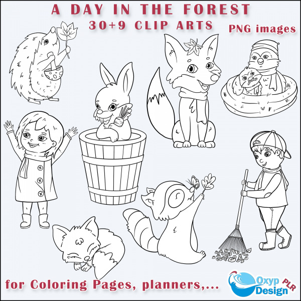 A Day in The Forest Clip Arts